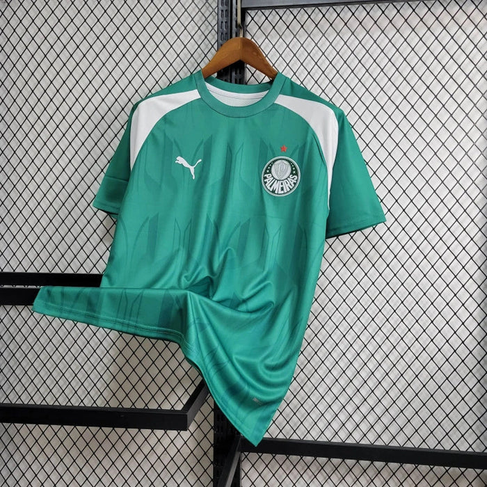 Camiseta Entrenamiento Palmeiras 2024-25  Versión fan