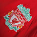 Camiseta Liverpool 200607 Local  Retro