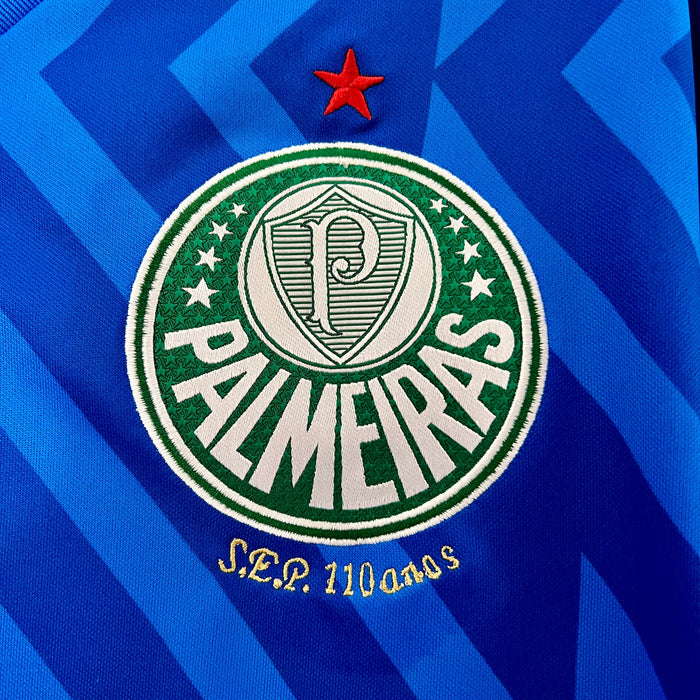 Camiseta Palmeiras 202425   Versión fan Portero