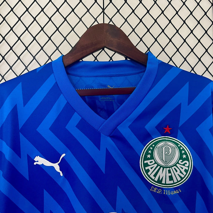 Camiseta Palmeiras 202425   Versión fan Portero