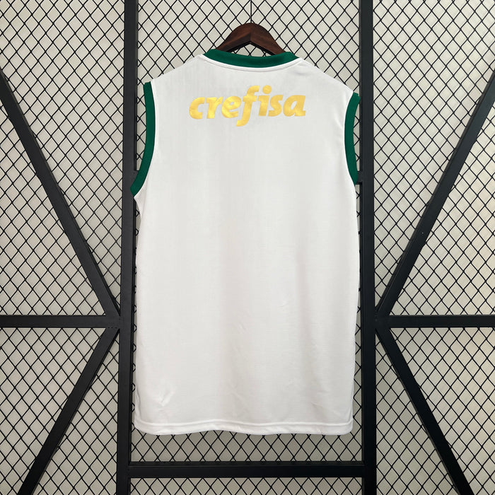 Camiseta Palmeiras Visita 202425  Versión fan Entrenamiento