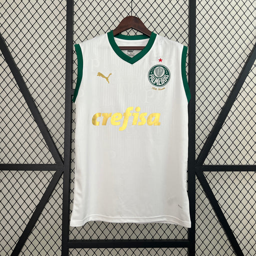 Camiseta Palmeiras Visita 202425  Versión fan Entrenamiento